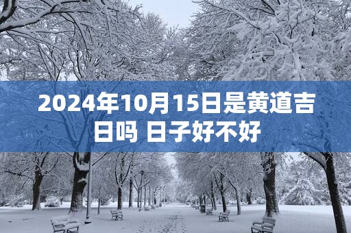 2025年10月15日是黄道吉日吗 日子好不好