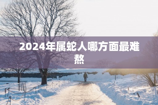 2024年属蛇人哪方面最难熬