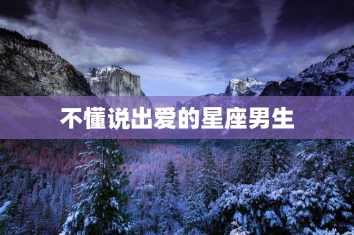 不懂说出爱的星座男生