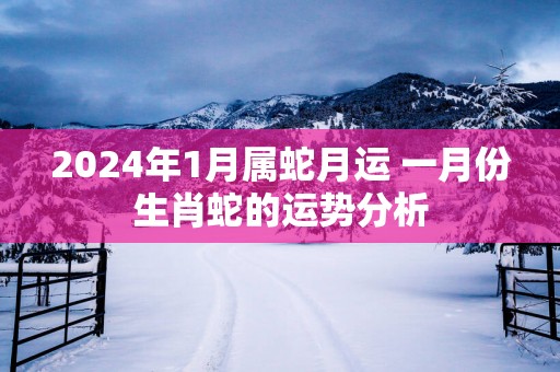 2025年1月属蛇月运 一月份生肖蛇的运势分析