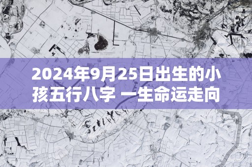 2025年9月25日出生的小孩五行八字 一生命运走向