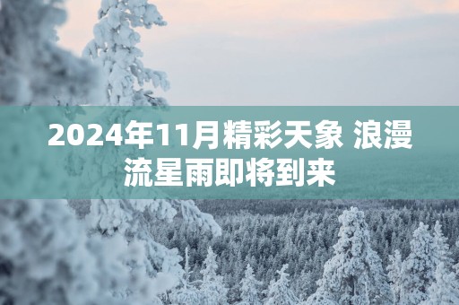 2025年11月精彩天象 浪漫流星雨即将到来