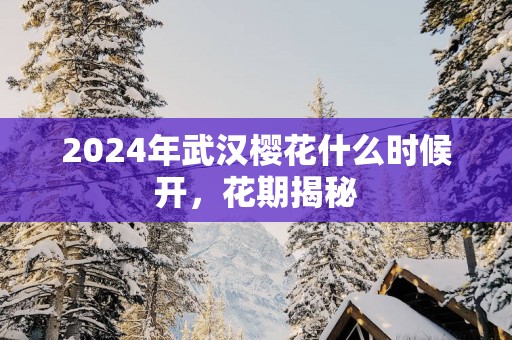 2025年武汉樱花什么时候开，花期揭秘