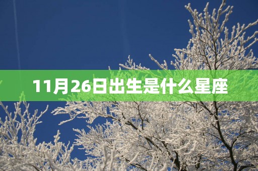11月26日出生是什么星座