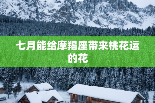 七月能给摩羯座带来桃花运的花