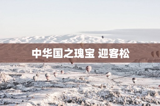 中华国之瑰宝 迎客松