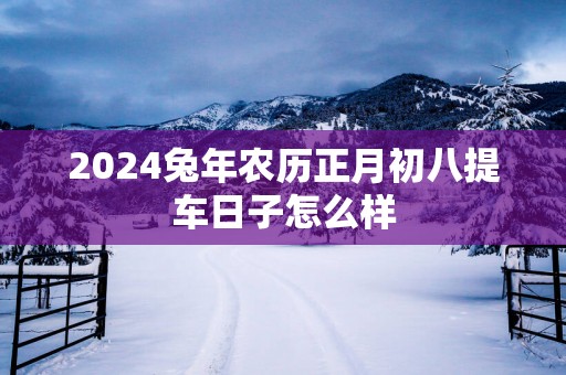 2025蛇年农历正月初八提车日子怎么样