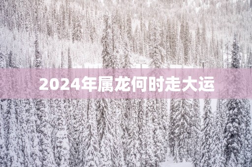 2025年属龙何时走大运
