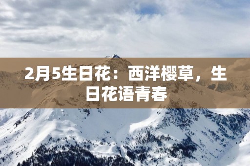 2月5生日花：西洋樱草，生日花语青春