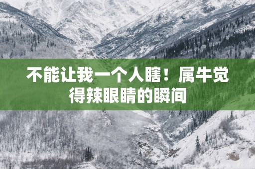 不能让我一个人瞎！属牛觉得辣眼睛的瞬间