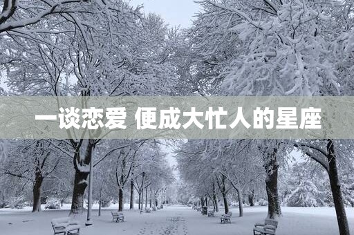 一谈恋爱 便成大忙人的星座