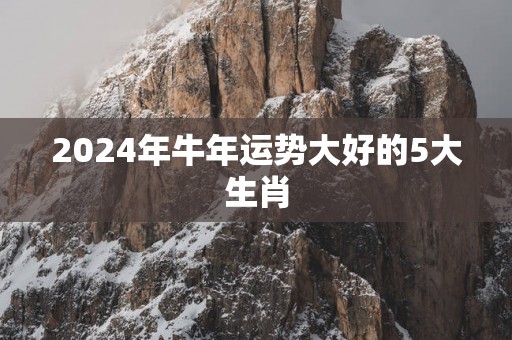 2025年蛇年运势大好的5大生肖