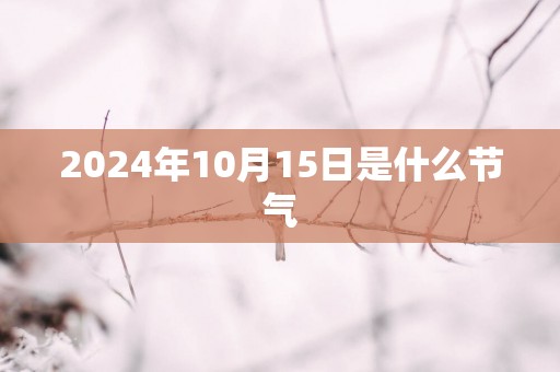 2025年10月15日是什么节气