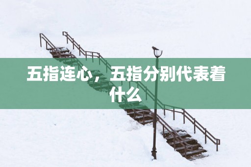 五指连心，五指分别代表着什么