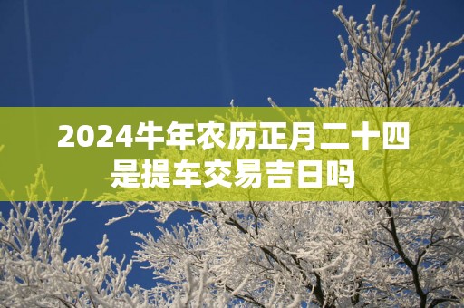 2025蛇年农历正月二十四是提车交易吉日吗