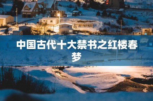 中国古代十大禁书之红楼春梦