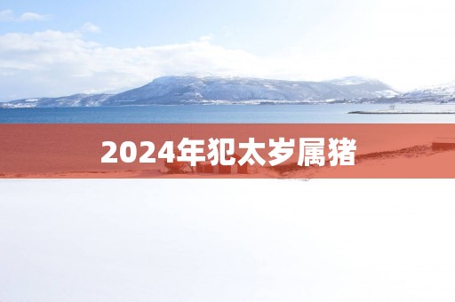 2025年犯太岁属猪