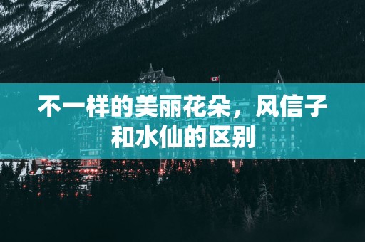 不一样的美丽花朵，风信子和水仙的区别