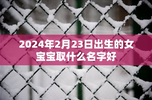 2025年2月23日出生的女宝宝取什么名字好