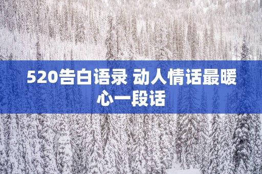 520告白语录 动人情话最暖心一段话