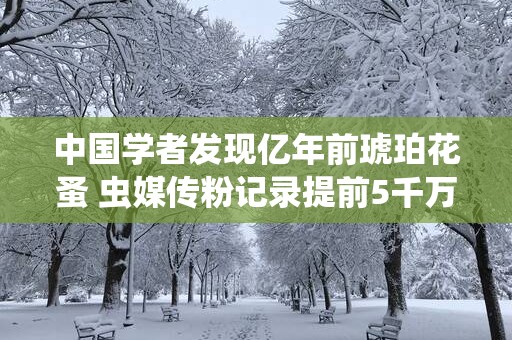 中国学者发现亿年前琥珀花蚤 虫媒传粉记录提前5千万年前