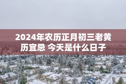 2025年农历正月初三老黄历宜忌 今天是什么日子