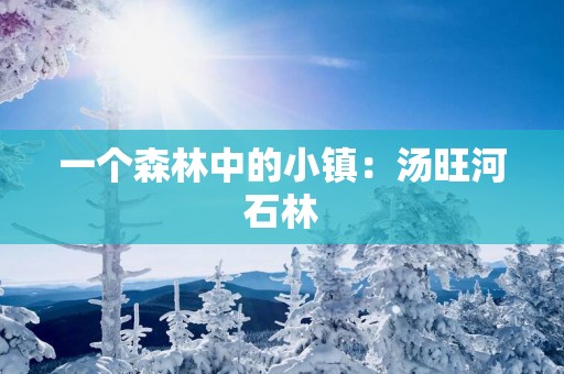 一个森林中的小镇：汤旺河石林