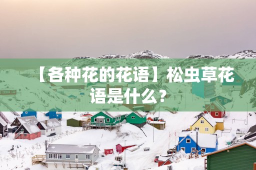 【各种花的花语】松虫草花语是什么？
