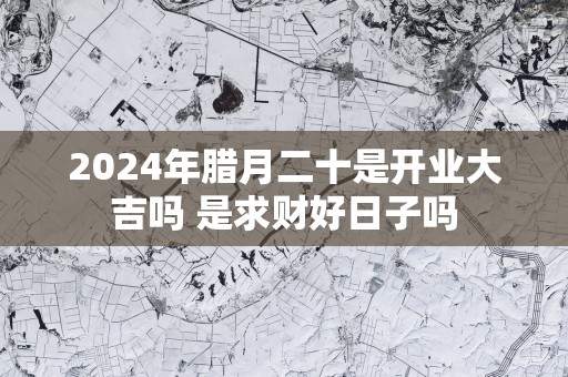 2025年腊月二十是开业大吉吗 是求财好日子吗