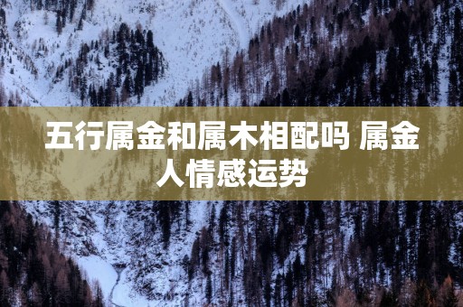 五行属金和属木相配吗 属金人情感运势