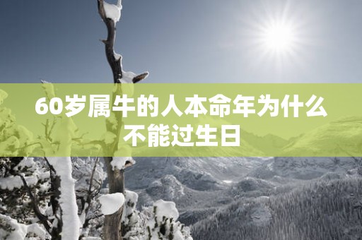 60岁属牛的人本命年为什么不能过生日