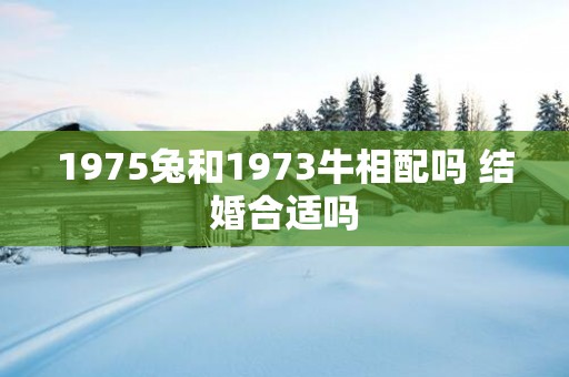 1975兔和1973牛相配吗 结婚合适吗