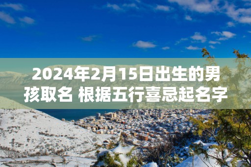 2024年2月15日出生的男孩取名 根据五行喜忌起名字