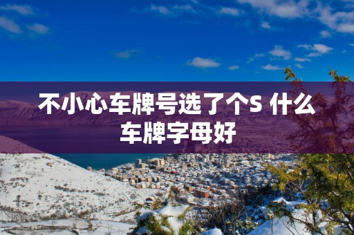 不小心车牌号选了个S 什么车牌字母好