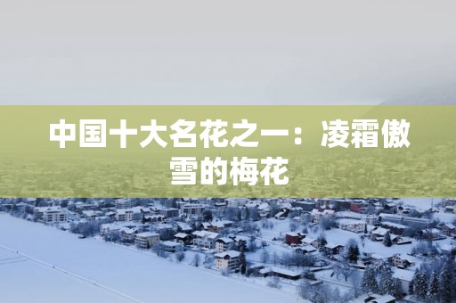 中国十大名花之一：凌霜傲雪的梅花