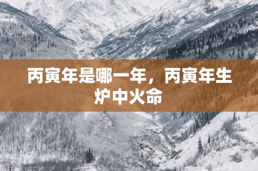 丙寅年是哪一年，丙寅年生炉中火命