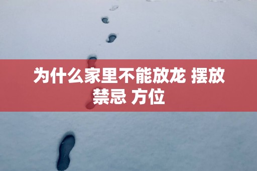 为什么家里不能放龙 摆放禁忌 方位
