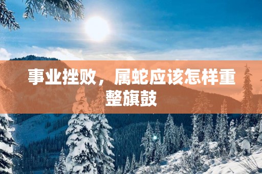 事业挫败，属蛇应该怎样重整旗鼓