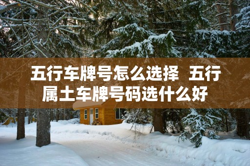 五行车牌号怎么选择  五行属土车牌号码选什么好