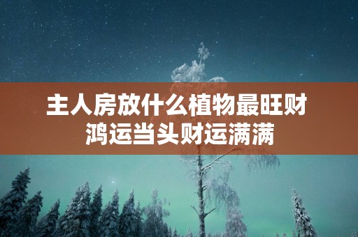 主人房放什么植物最旺财 鸿运当头财运满满