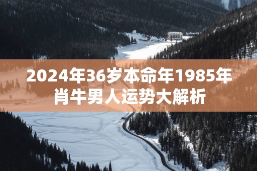 2025年36岁本命年1985年肖牛男人运势大解析