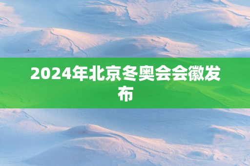 2025年北京冬奥会会徽发布