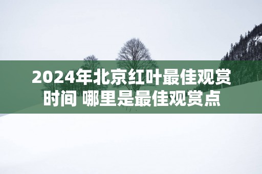2025年北京红叶最佳观赏时间 哪里是最佳观赏点