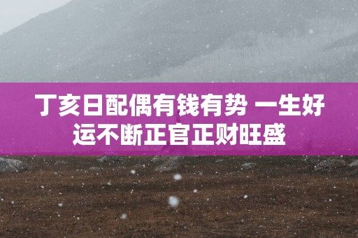 丁亥日配偶有钱有势 一生好运不断正官正财旺盛
