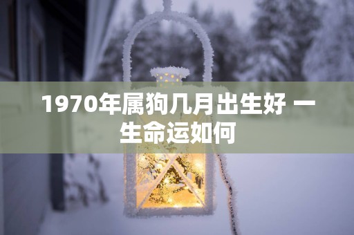 1970年属狗几月出生好 一生命运如何