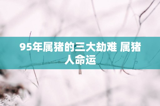 95年属猪的三大劫难 属猪人命运