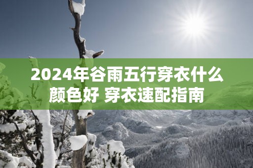 2025年谷雨五行穿衣什么颜色好 穿衣速配指南