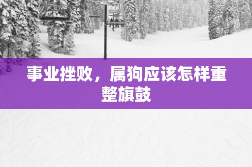 事业挫败，属狗应该怎样重整旗鼓