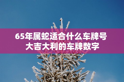 65年属蛇适合什么车牌号 大吉大利的车牌数字