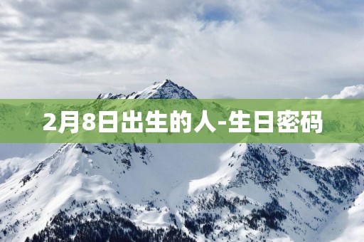 2月8日出生的人-生日密码